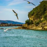 Şile ve Ağva Gezi Notları ve Gezi Önerileri