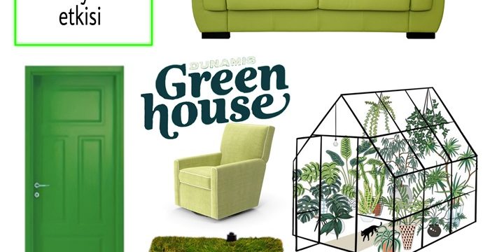 Yeşil tonları ev dekorasyonuna nasıl etki eder?